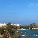 Villa Olive Tree -