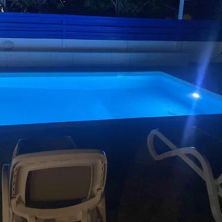 Willa Olive Tree -