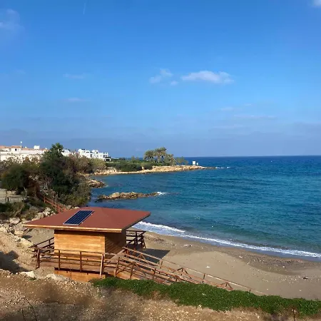 Olive Tree - Villa