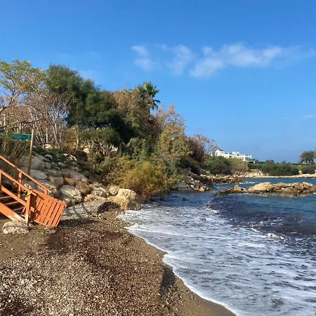 Villa Olive Tree - *