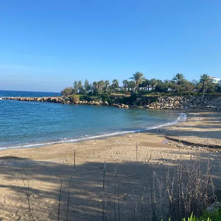 Villa Olive Tree -