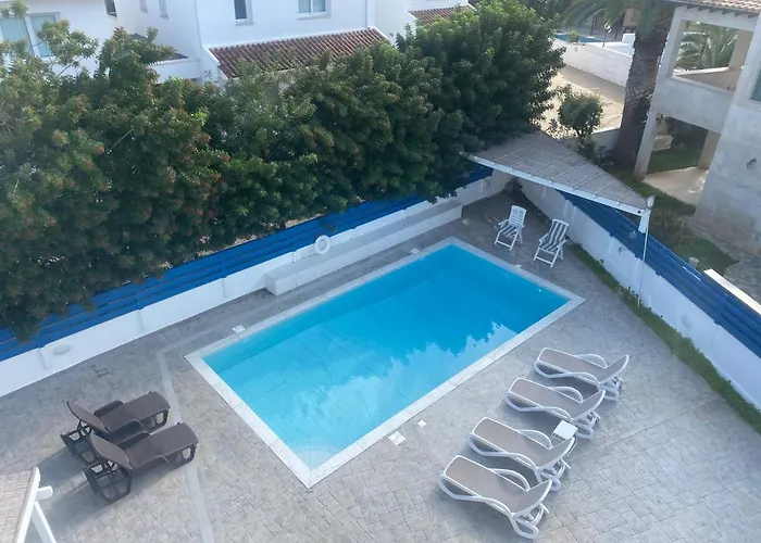 Olive Tree - Protaras