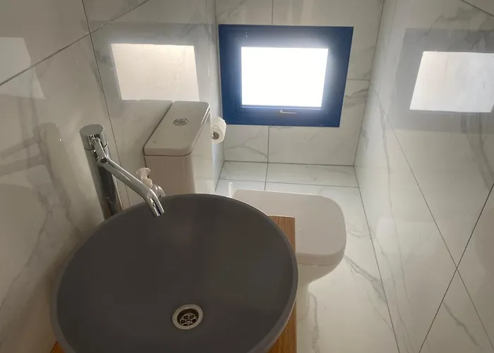 Olive Tree - 프로타라스