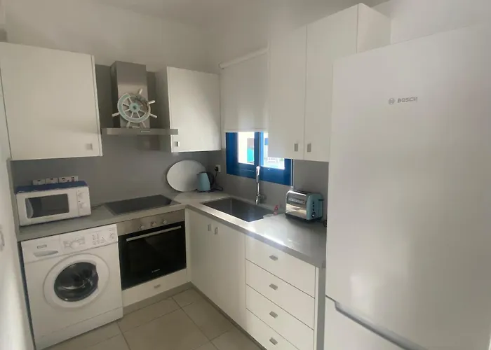 Olive Tree - * 프로타라스