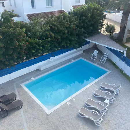 Olive Tree - Protaras