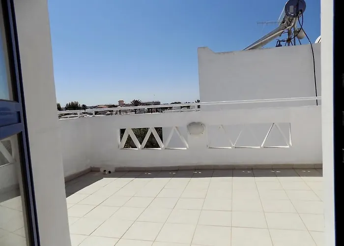 Olive Tree - * プロタラス