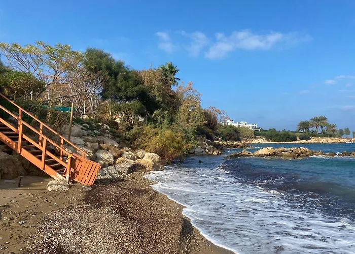 ヴィラ Olive Tree - *